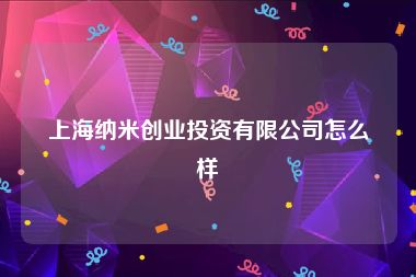 上海纳米创业投资有限公司怎么样