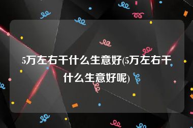 5万左右干什么生意好(5万左右干什么生意好呢)