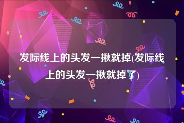 发际线上的头发一揪就掉(发际线上的头发一揪就掉了)