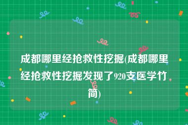 成都哪里经抢救性挖掘(成都哪里经抢救性挖掘发现了920支医学竹简)