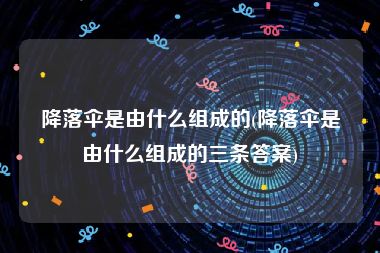 降落伞是由什么组成的(降落伞是由什么组成的三条答案)