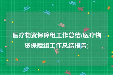 医疗物资保障组工作总结(医疗物资保障组工作总结报告)