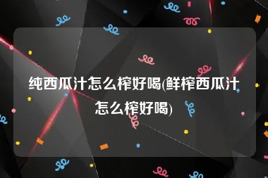 纯西瓜汁怎么榨好喝(鲜榨西瓜汁怎么榨好喝)