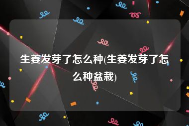 生姜发芽了怎么种(生姜发芽了怎么种盆栽)