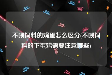 不喂饲料的鸡蛋怎么区分(不喂饲料的下蛋鸡需要注意哪些)