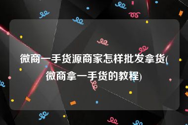 微商一手货源商家怎样批发拿货(微商拿一手货的教程)