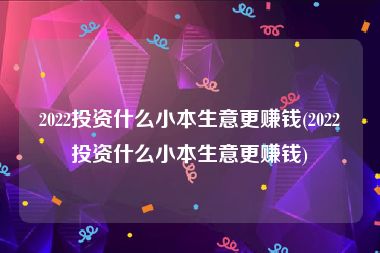 2022投资什么小本生意更赚钱(2022投资什么小本生意更赚钱)