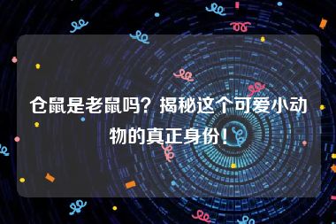 仓鼠是老鼠吗？揭秘这个可爱小动物的真正身份！