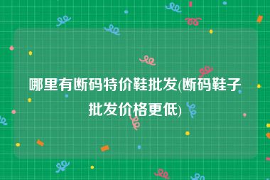 哪里有断码特价鞋批发(断码鞋子批发价格更低)