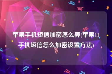 苹果手机短信加密怎么弄(苹果11手机短信怎么加密设置方法)