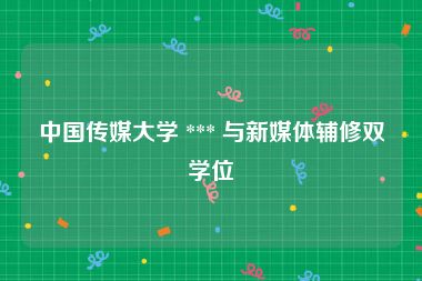 中国传媒大学 *** 与新媒体辅修双学位