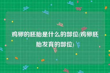 鸡卵的胚胎是什么的部位(鸡卵胚胎发育的部位)