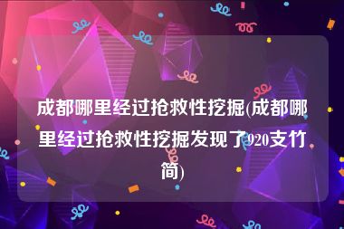 成都哪里经过抢救性挖掘(成都哪里经过抢救性挖掘发现了920支竹简)