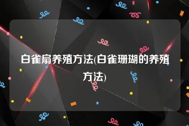 白雀扇养殖方法(白雀珊瑚的养殖方法)