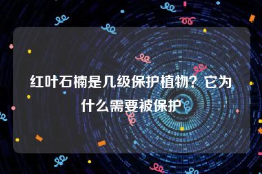 红叶石楠是几级保护植物？它为什么需要被保护