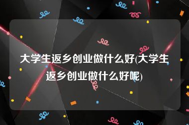 大学生返乡创业做什么好(大学生返乡创业做什么好呢)