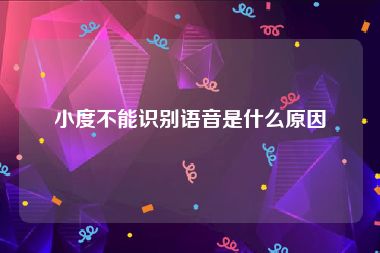 小度不能识别语音是什么原因