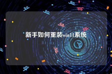 新手如何重装win11系统