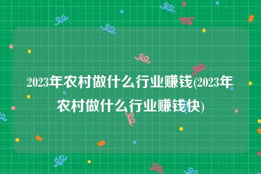 2023年农村做什么行业赚钱(2023年农村做什么行业赚钱快)