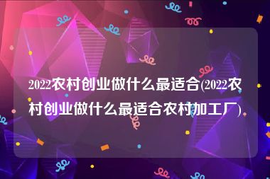 2022农村创业做什么最适合(2022农村创业做什么最适合农村加工厂)