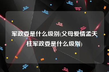 军政委是什么级别(父母爱情孟天柱军政委是什么级别)