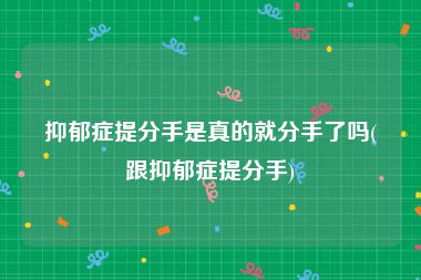 抑郁症提分手是真的就分手了吗(跟抑郁症提分手)