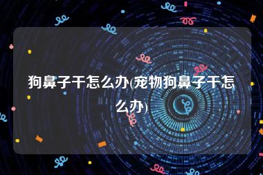 狗鼻子干怎么办(宠物狗鼻子干怎么办)