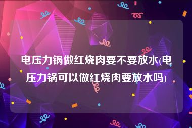 电压力锅做红烧肉要不要放水(电压力锅可以做红烧肉要放水吗)