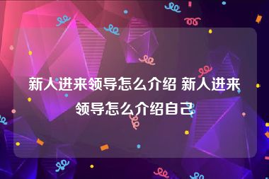 新人进来领导怎么介绍 新人进来领导怎么介绍自己