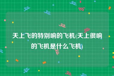 天上飞的特别响的飞机(天上很响的飞机是什么飞机)