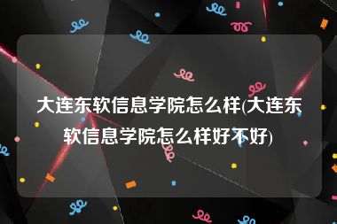 大连东软信息学院怎么样(大连东软信息学院怎么样好不好)