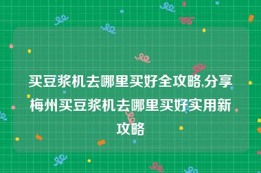 买豆浆机去哪里买好全攻略,分享梅州买豆浆机去哪里买好实用新攻略