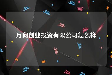 万向创业投资有限公司怎么样