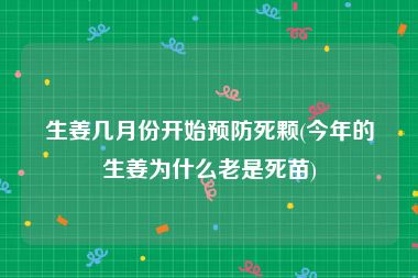 生姜几月份开始预防死颗(今年的生姜为什么老是死苗)