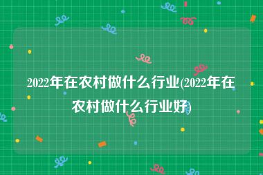 2022年在农村做什么行业(2022年在农村做什么行业好)