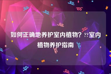 如何正确地养护室内植物？??室内植物养护指南