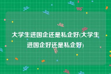 大学生进国企还是私企好(大学生进国企好还是私企好)