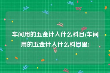 车间用的五金计入什么科目(车间用的五金计入什么科目里)