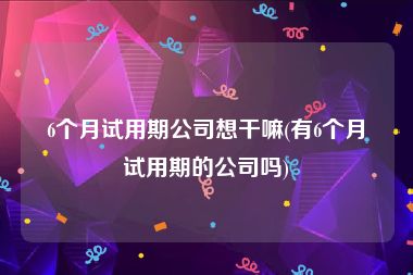 6个月试用期公司想干嘛(有6个月试用期的公司吗)