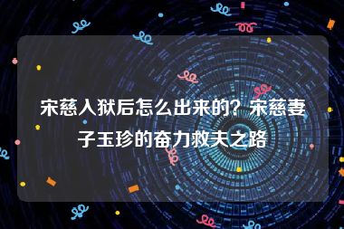 宋慈入狱后怎么出来的？宋慈妻子玉珍的奋力救夫之路