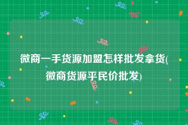 微商一手货源加盟怎样批发拿货(微商货源平民价批发)