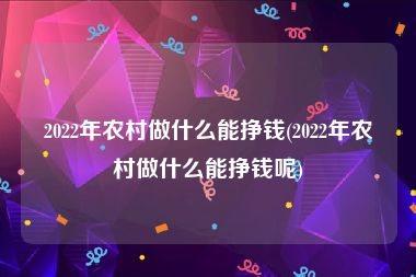 2022年农村做什么能挣钱(2022年农村做什么能挣钱呢)