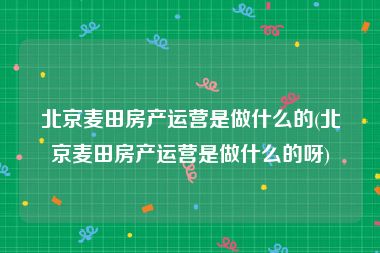 北京麦田房产运营是做什么的(北京麦田房产运营是做什么的呀)