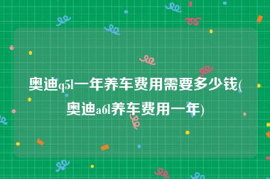 奥迪q5l一年养车费用需要多少钱(奥迪a6l养车费用一年)