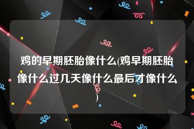 鸡的早期胚胎像什么(鸡早期胚胎像什么过几天像什么最后才像什么)