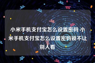 小米手机支付宝怎么设置密码 小米手机支付宝怎么设置密码锁不让别人看