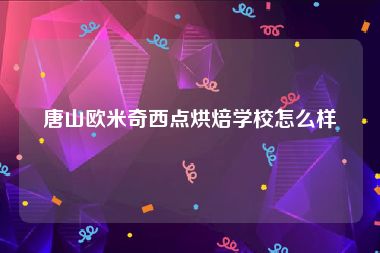 唐山欧米奇西点烘焙学校怎么样