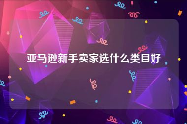 亚马逊新手卖家选什么类目好