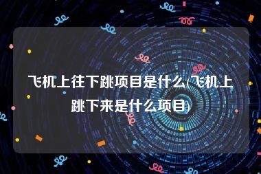 飞机上往下跳项目是什么(飞机上跳下来是什么项目)