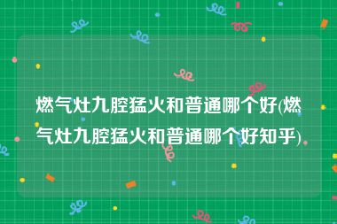 燃气灶九腔猛火和普通哪个好(燃气灶九腔猛火和普通哪个好知乎)